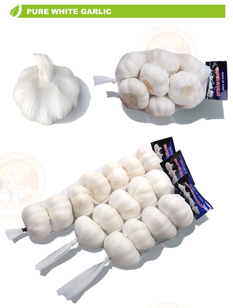 2022 New Crop Best Quality Factory Chinese Normal Pure White Fresh Garlic