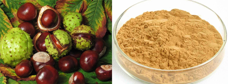 Plant Extract 20%-98% Aescin 6805-41-0 Horse Chestnut Extract