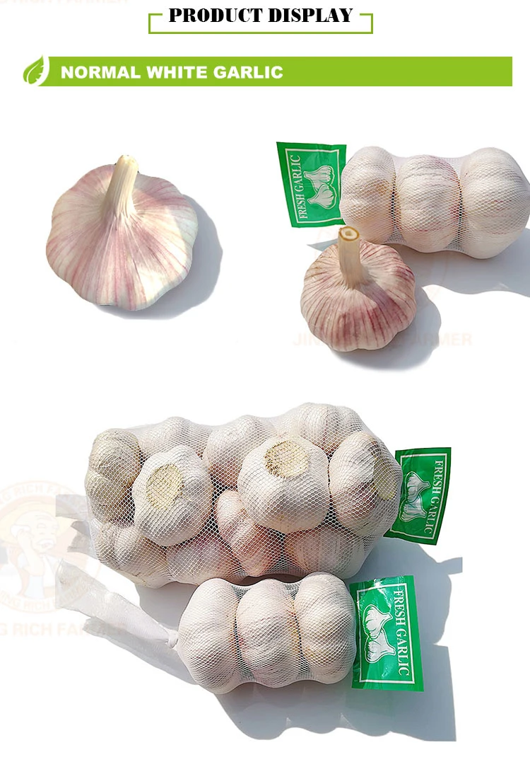 2022 New Crop Best Quality Factory Chinese Normal Pure White Fresh Garlic