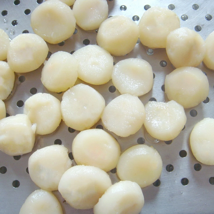 Canned Water Chestnut Whole/ Slices/ Dices in Tin 2950g