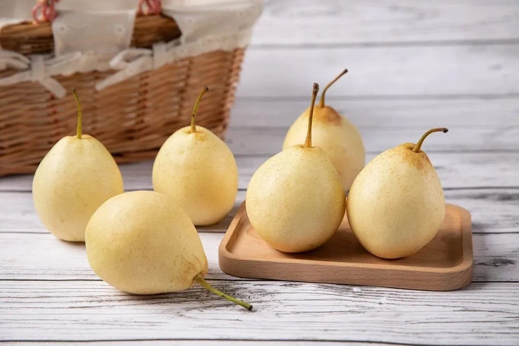 High Quality Chinese New Crop Sweet and Juicy Ya Pear