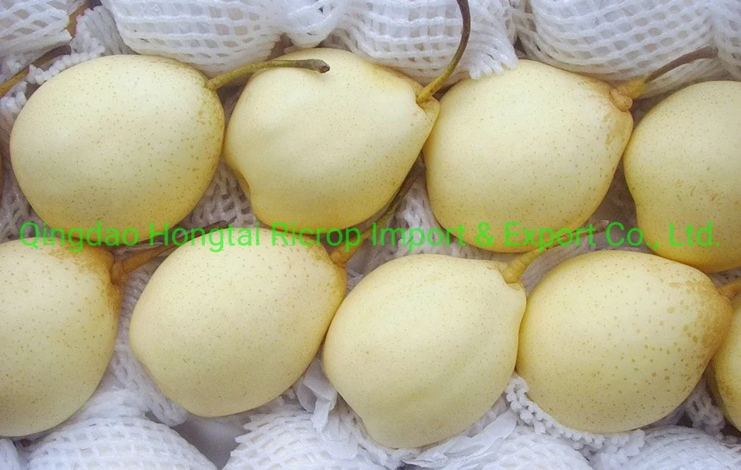 2022 New Crop Fresh Fruit Fresh Pear in Sweet Juicy Nashi/Ya/Fengshui/Diamond/Su