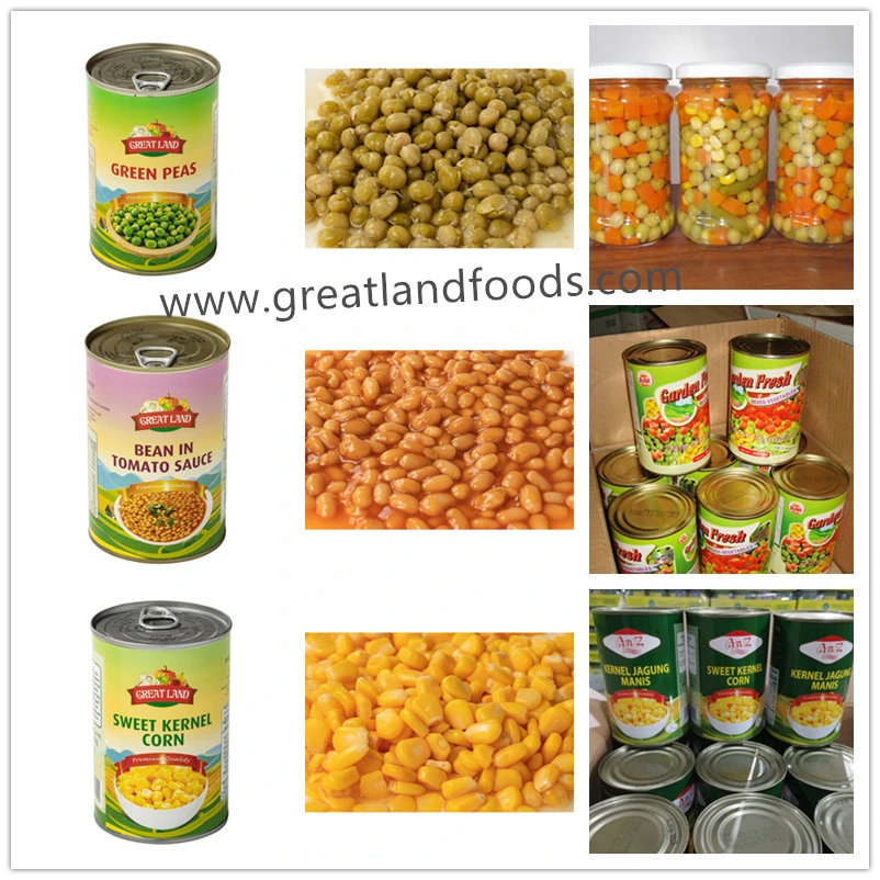 Canned Water Chestnut Whole 567g