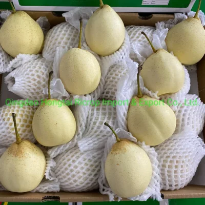 Новый урожай 2022 года, высококачественная китайская свежая груша Я.