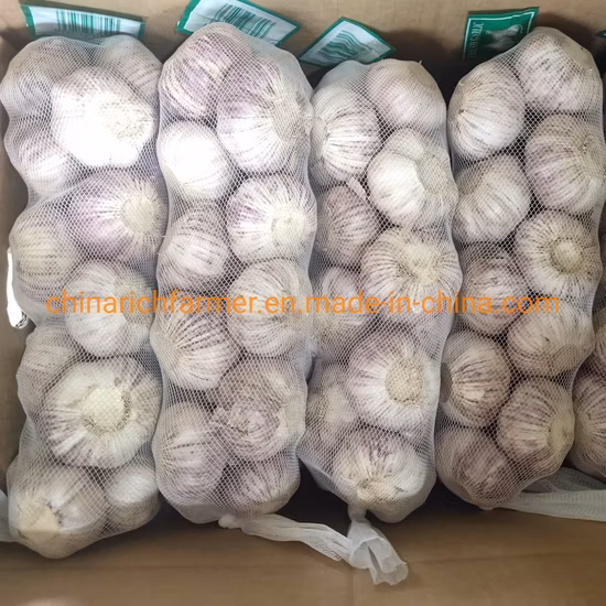 Оптовая продажа, 4,5 см, 5,0 см, 5,5 см, 6,0 см, 10 кг коробка, чистый/обычный белый свежий очищенный чеснок, низкая цена